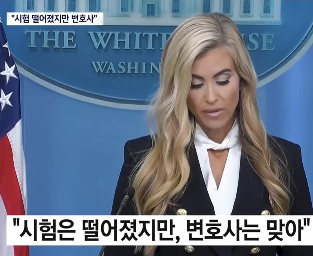 변호사 시험은 떨어졌는데 변호사는 맞다??? (2)