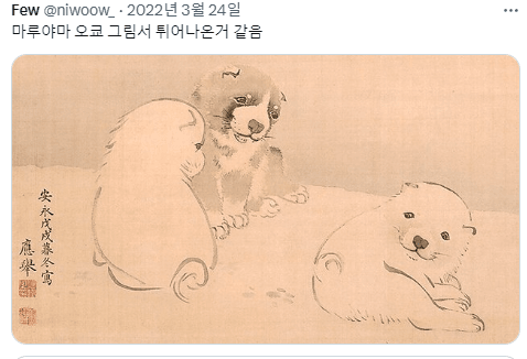 싱글벙글 반가우면 민머리 되는 댕댕이들 (5)