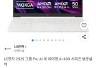 LG전자 그램 프로 16Z95U-GS5CK