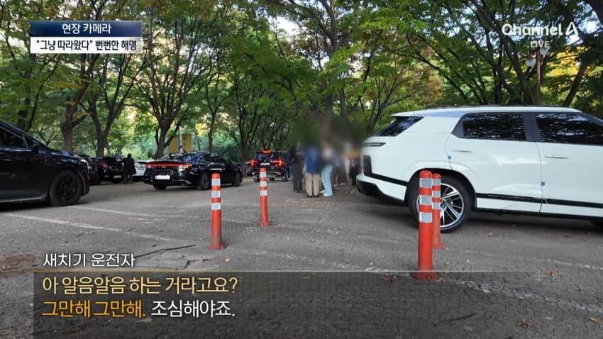 채널a) 차 머리부터 '쑥'..야구장 앞 얌체들 (41)