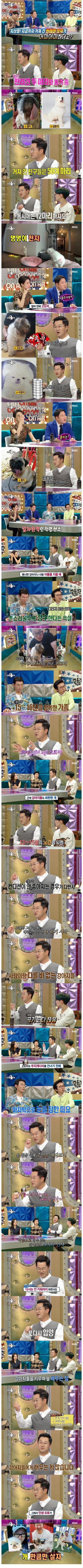 50여 마리의 개를 키운 애견인 지상렬의 인생 모토