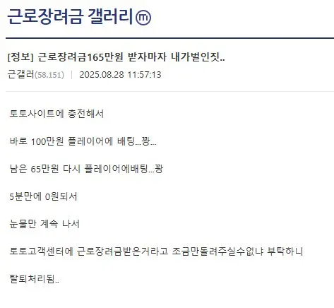 근로장려금 갤 레전드