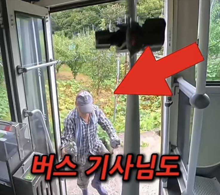 시골 카르텔 (2)
