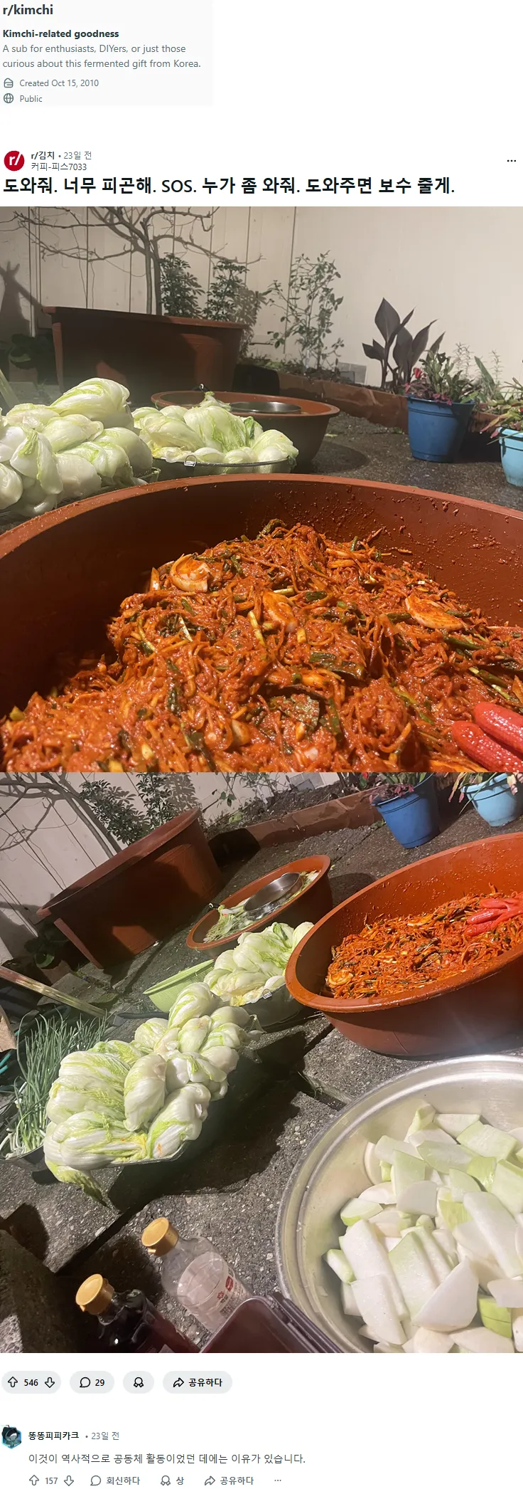 레딧 김치 게시판에 올라온 김장글