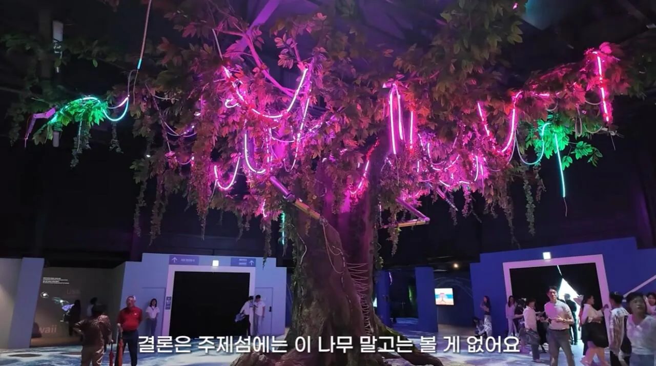 여수국제 섬박람회에 갔다가 실망한 유튜버 (2)