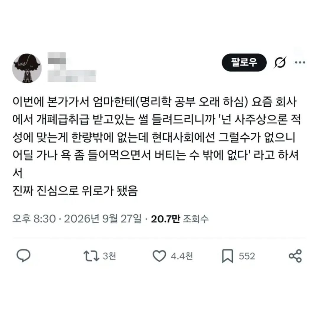 명리학 공부하신 어머니께 위로받은 트위터인