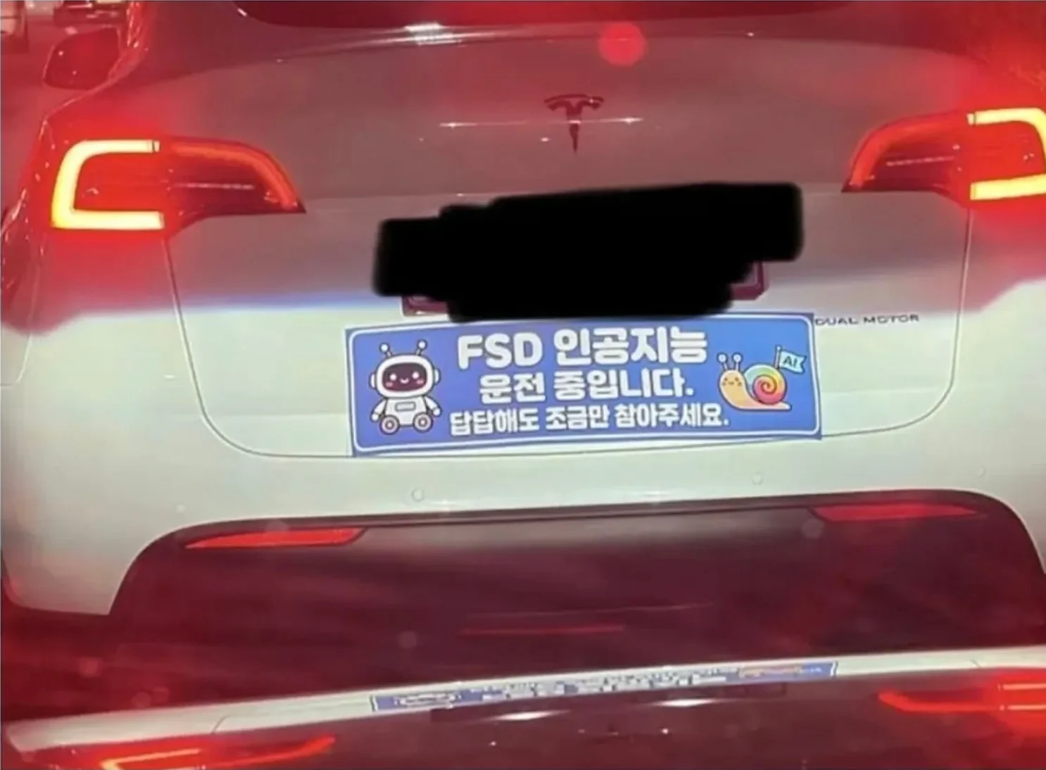 테슬라 fsd 풀려서 신난 운전자가 한 행동