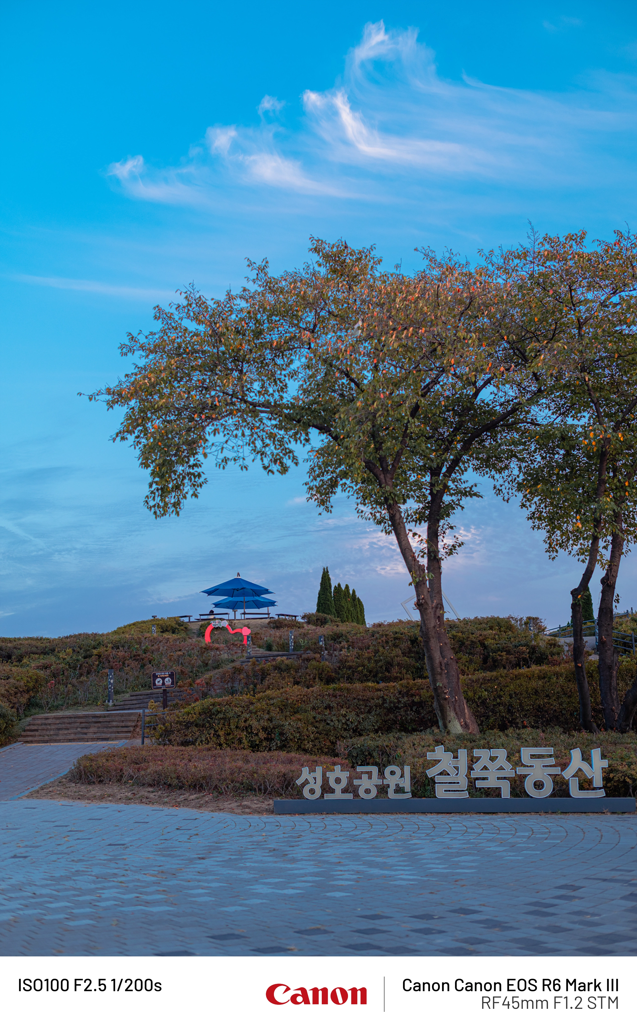 사오이 사진(30) (25)