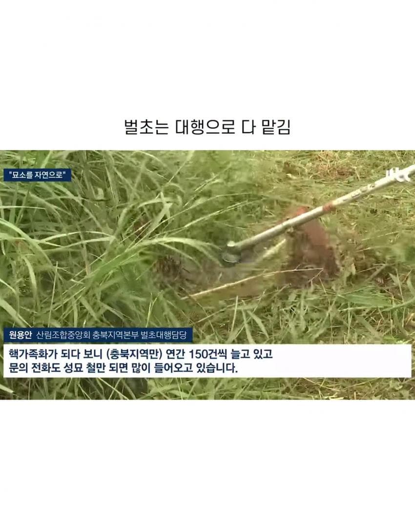 완전 바뀌어버린 추석 모습 (5)