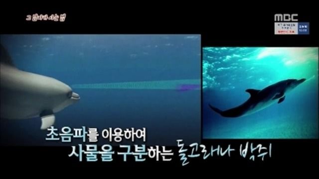 싱글벙글 리신이 음파 잘 맞히는 비법 (17)