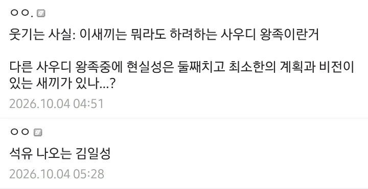 나라 체급에 비해서 은근 거품인 나라 (3)
