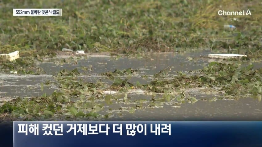 호남·충청 폭우에 침수·실종까지 (11)