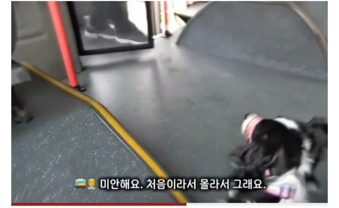 청각장애인 보조견 탑승을 거부한 버스기사님 (9)