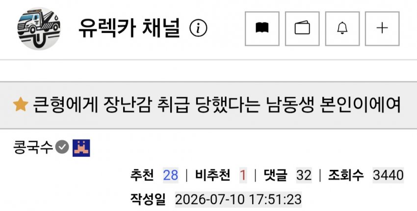 형에게 장난감 취급 당했다는 남동생들 (11)