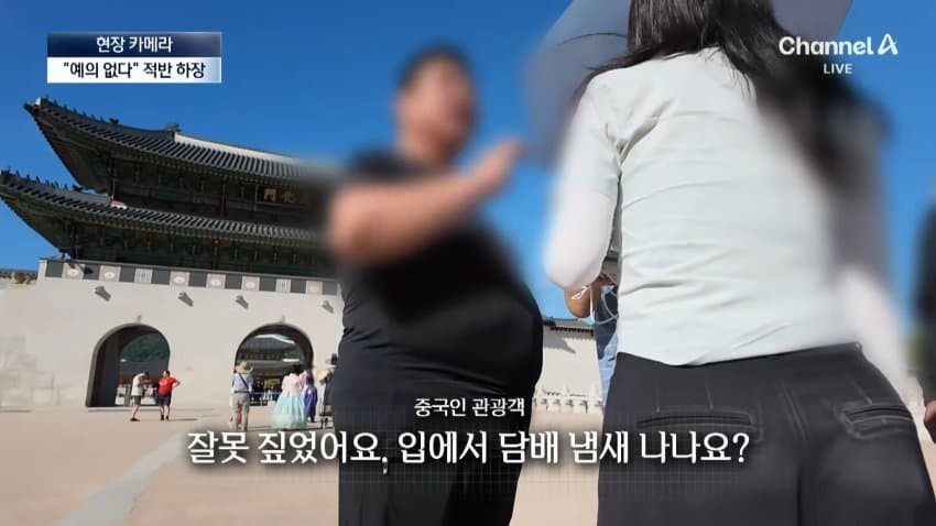 경복궁서 버젓이..담뱃불 붙이는 관광객 (12)
