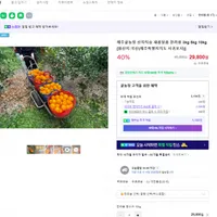 제주산 한라봉 중소과 10kg
