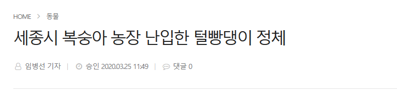 길고양이같은거에 왜그렇게 신경을 써.