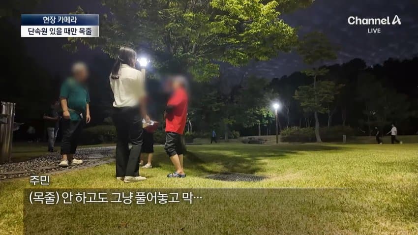 채널a) 단속원 퇴근하자...공원이 '개판' (4)