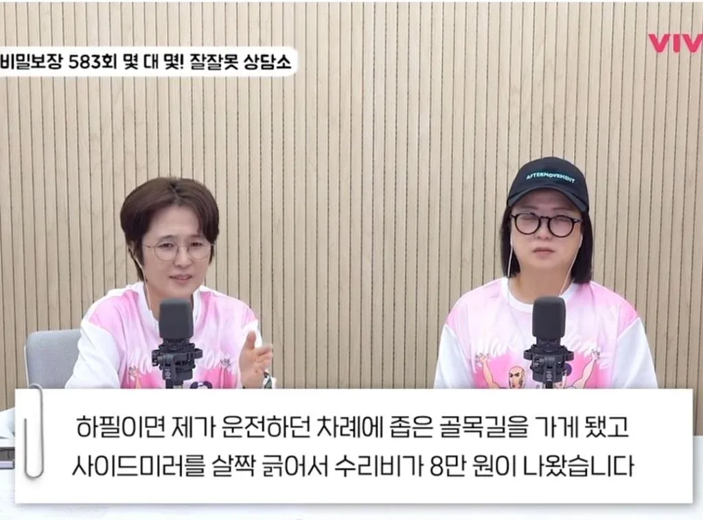 친구들과 여행 중 난 사고 독박 쓰는 게 맞나요? (2)