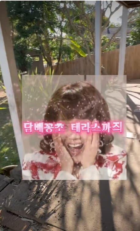 아일릿 원희 닮은07년생 한국여자 거친 호주에서  살아남기. ㄷㄷ (11)