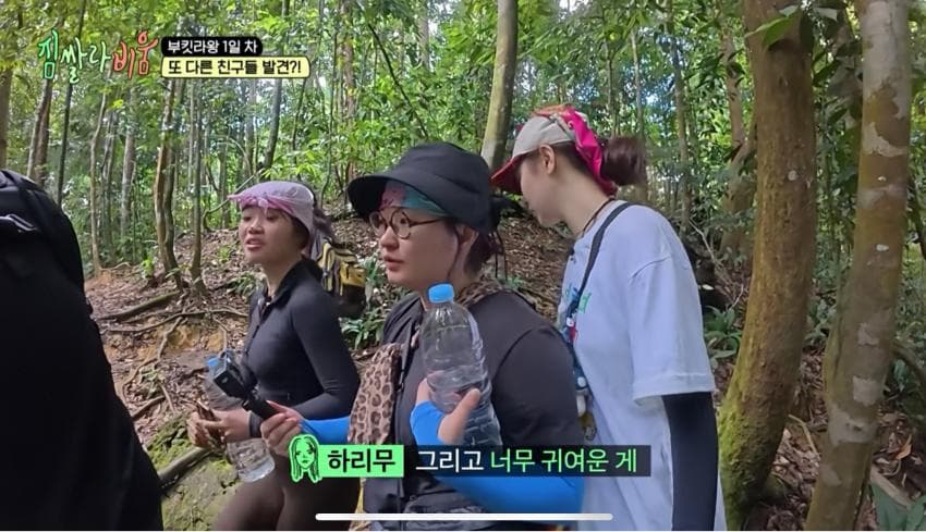 싱글벙글 정글에서 만나면 위험한 동물 (9)