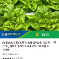 [롯데온]농협 샐러드용 채소 믹스 1kg 3~4종 내외 (4,900원/무료)