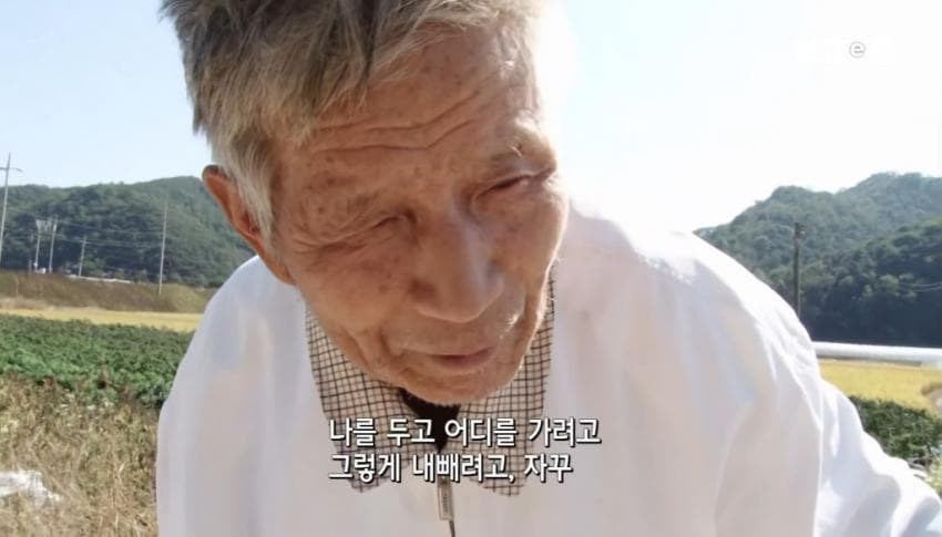 낭만낭만 90 평생 할매만 귀여워 하는 할배 (17)