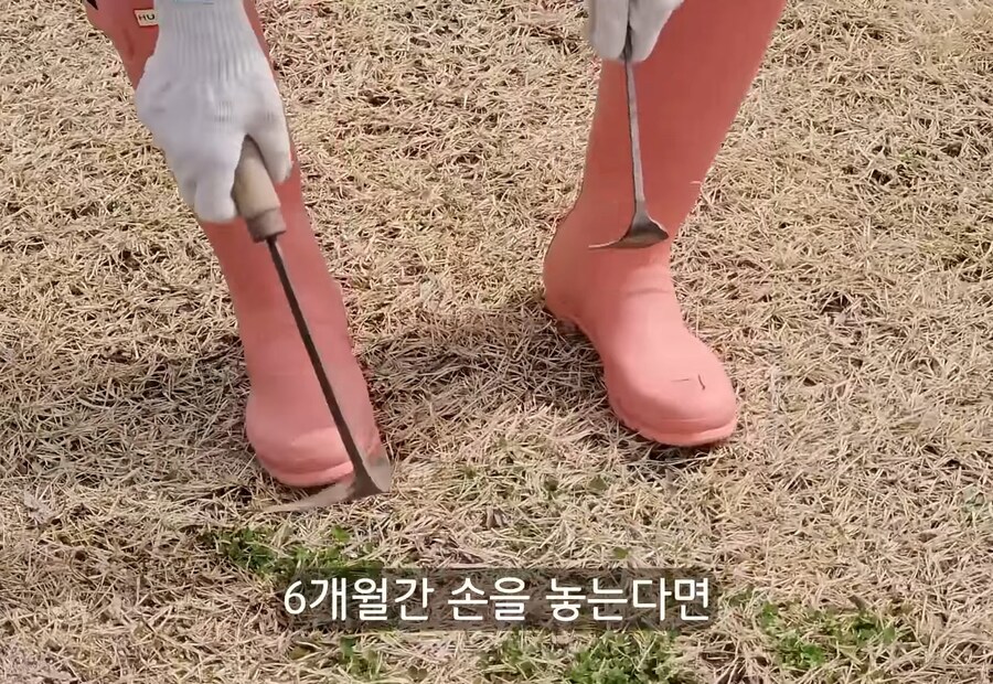 휴식을 위해 '귀촌'을 한 사람들이 깨닫게 되는 현실 (19)