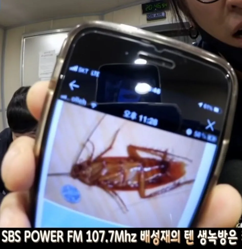 다운로드-19.jpeg 혐)코요태 빽가가 미국에서 본 바퀴벌레 크기