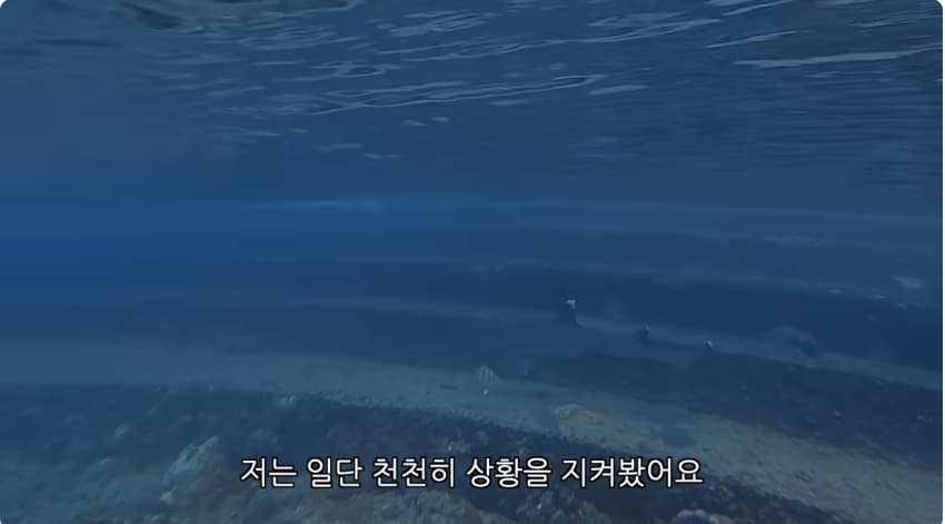 일본 부캉이 등장? 한국인이 좋아서 바다에 다이빙하면서 안부인사해주는일본 (33)
