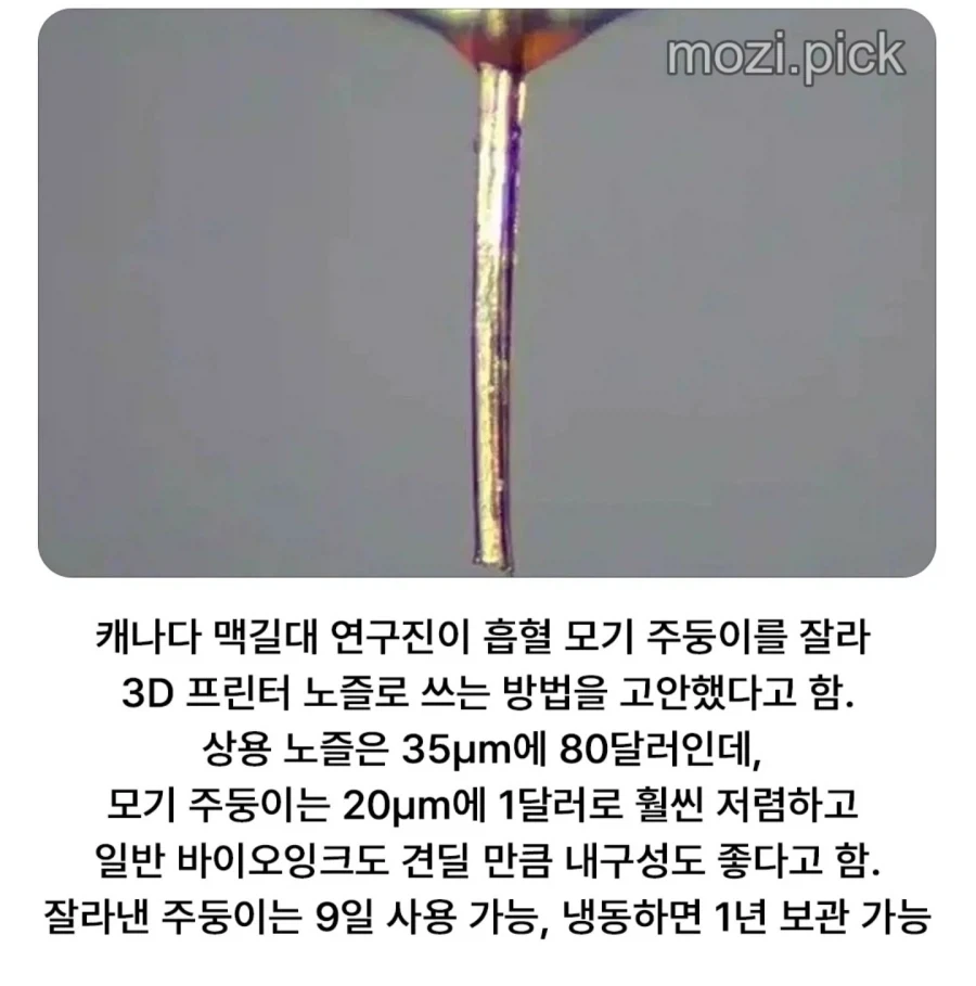 드디어 쓸모가 있어진 그놈