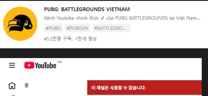배그 베트남 삭제 엔딩(유튜브, 페북, 인스타)