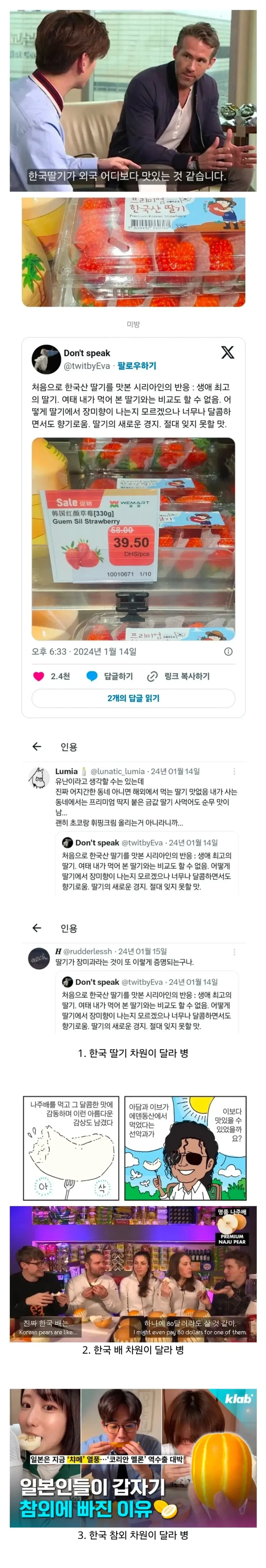 몇안되는 한국 과일 차원이 달라 병