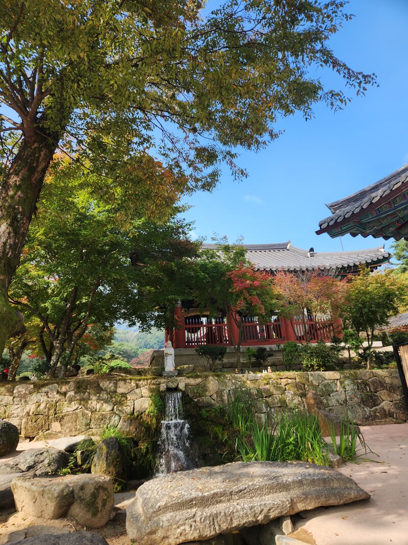 실시간 김천 직지사 풍경 (6)