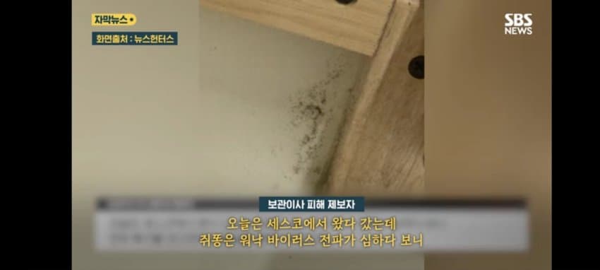 보관이사 맡겼다가 곰팡이, 벌레로 가구 다 망가진 제보자 (12)