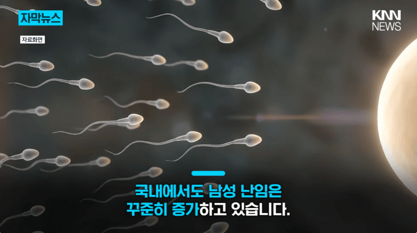 싱글벙글 매일 마시던 제로 음료, '남성 건강'에 치명적? (10)