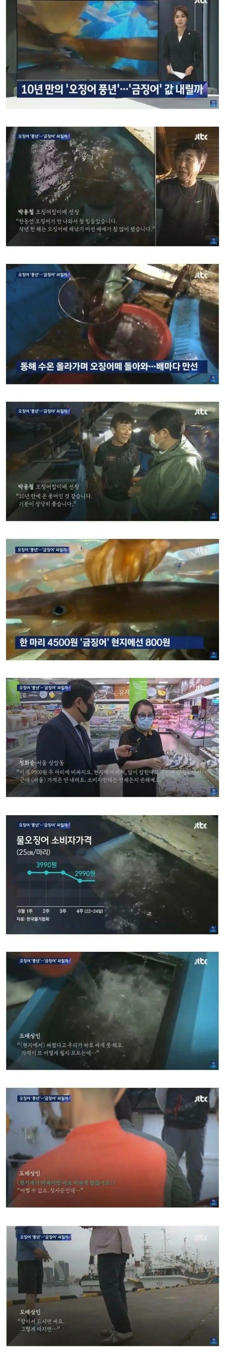 오징어 풍년이어도 가격 안내리는 이유