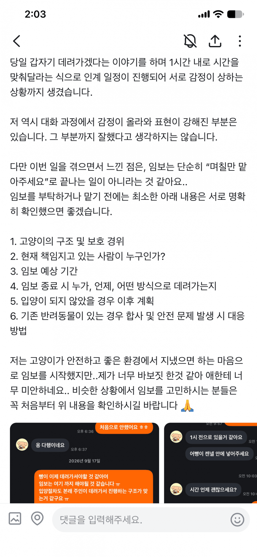 캣어머니한테 임보냥이 설계당한 당근 착한아줌마. (3)