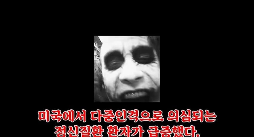 해리성 정체성 장애 (6)