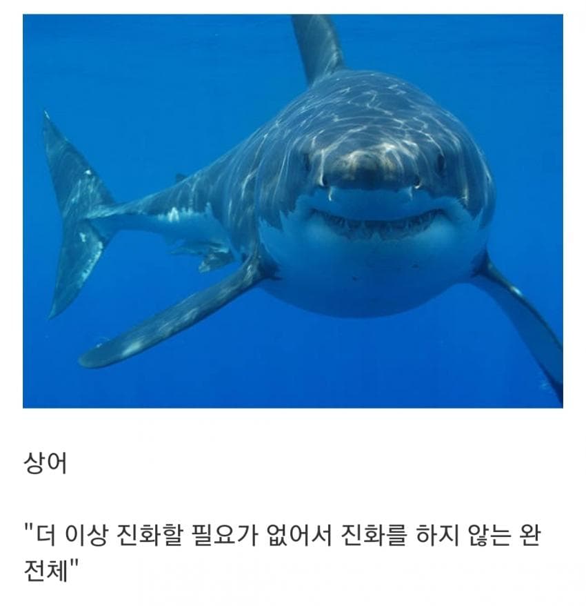오싹오싹 인지도는 최고 수준인데 정작 알려진 건 거의 없는 생물