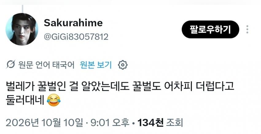싱글벙글 동아시아와 동남아시아가 공존할 수 없는 이유 (3)