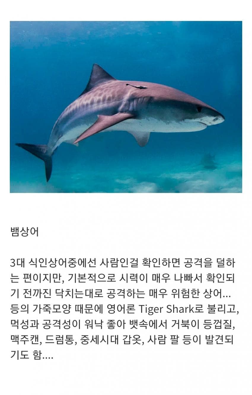 오싹오싹 인지도는 최고 수준인데 정작 알려진 건 거의 없는 생물 (7)