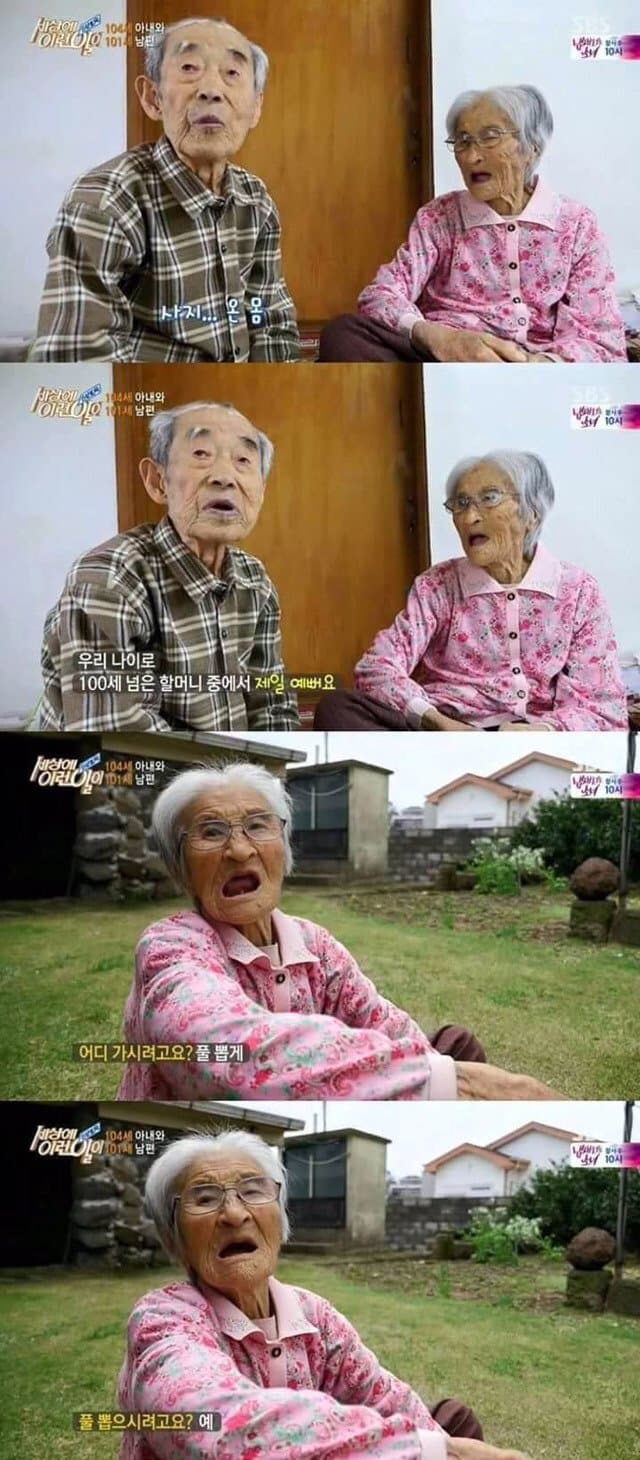 낭만낭만 88년간 연상의 아내를 사랑한 할배 (11)