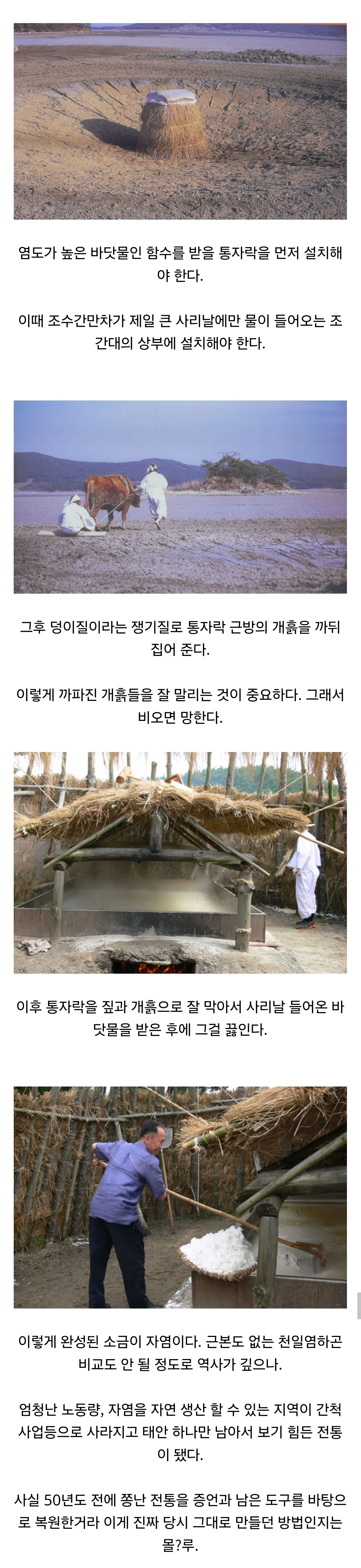 천일염같은 사기가 아닌 진짜 한국 전통 소금 만드는 법