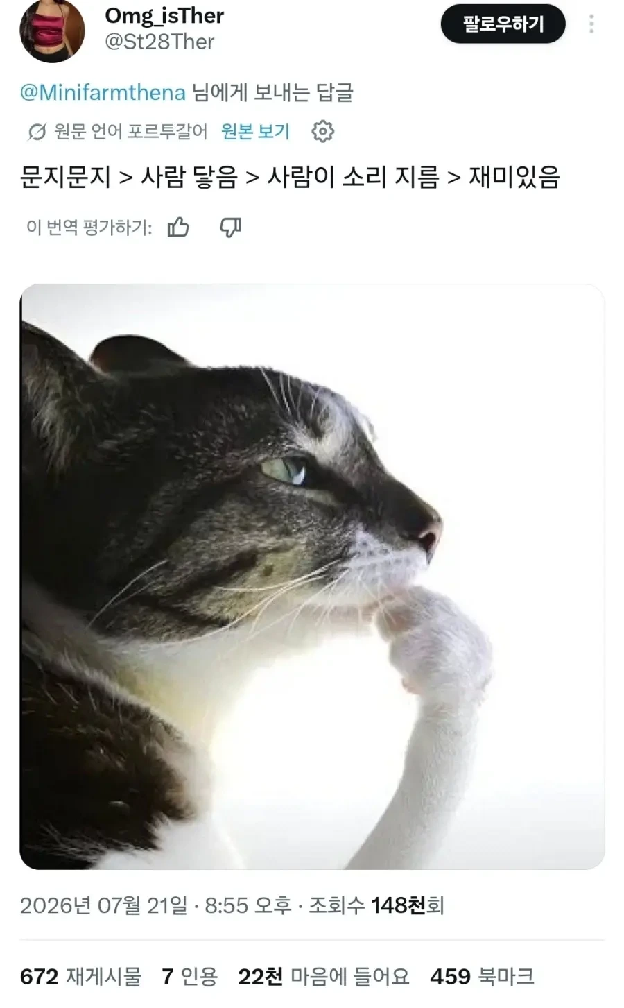 집사에게 전기 공격하는 고양이 (2)