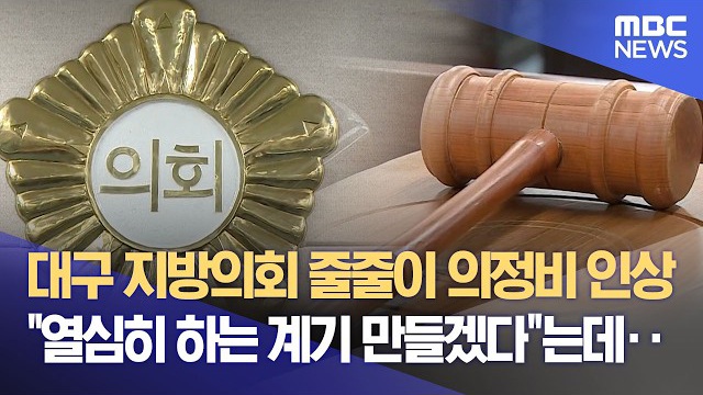 대구 지방의회 줄줄이 의정비 인상