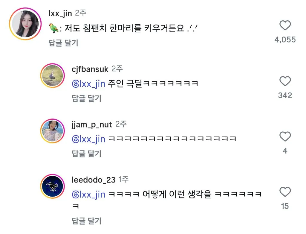 950단어 말하는 앵무새의 한 마디