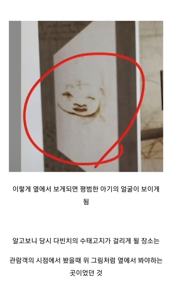 너무 이상하게 그려 의문이었던 다빈치 그림 (6)