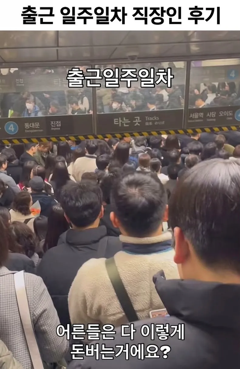 출근 일주일차 직장인 후기