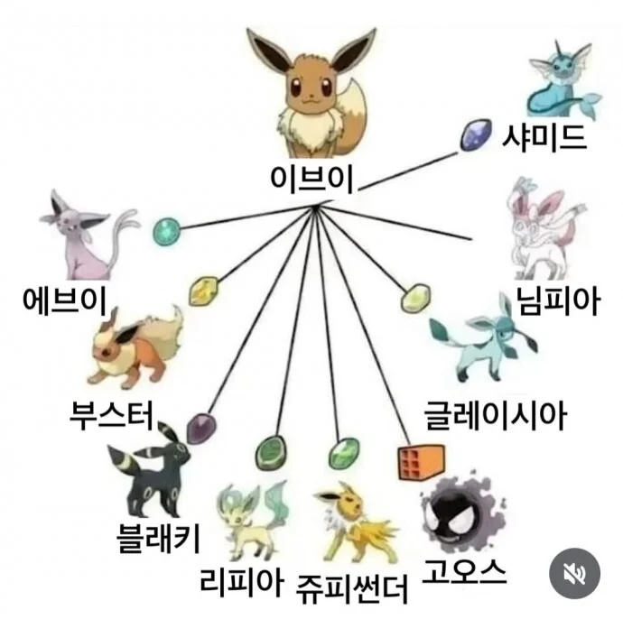 복잡한 이브이 진화형
